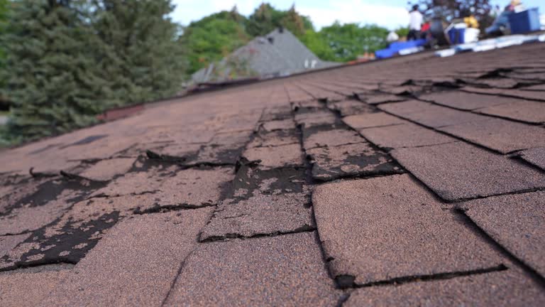 Best Steel Roofing  in Falmouth, KY