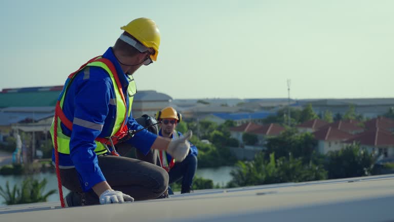 Best Storm Damage Roof Repair  in Falmouth, KY